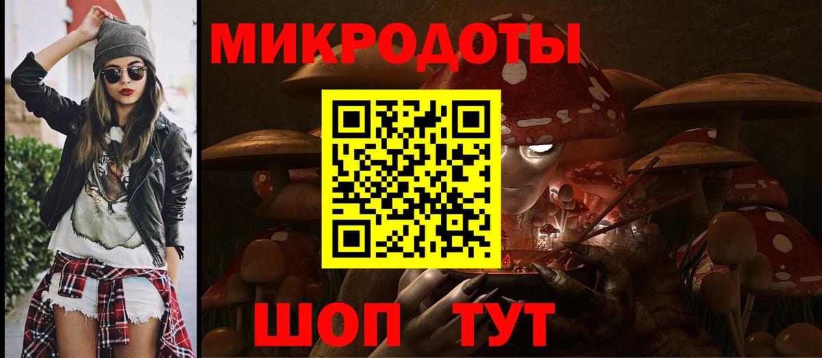 Галлюциногенные грибы Psilocybe Магнитогорск