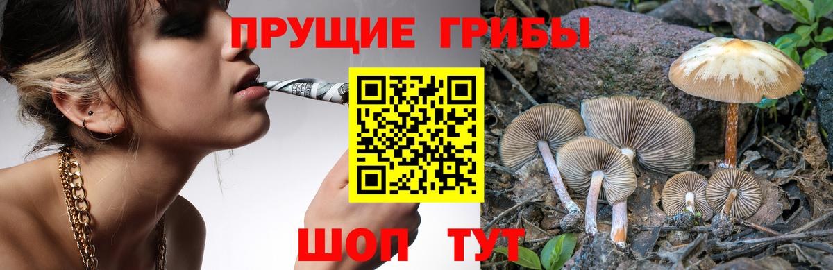 Магнитогорск  Псилоцибиновые грибы MAGIC MUSHROOMS  Псилоцибиновые грибы мицелий  Вход с VPN 